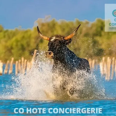 Promo*l'alize-studio Famille-piscine-parking Prive-cohote Conciergerie Apartment *